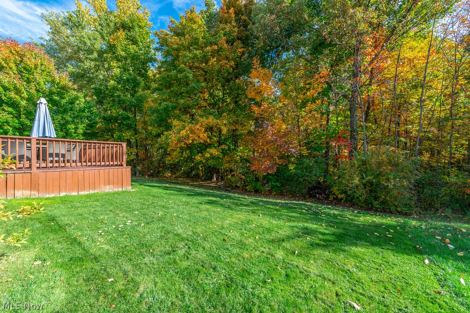 665 Oxford Drive Broadview Heights OH 44147