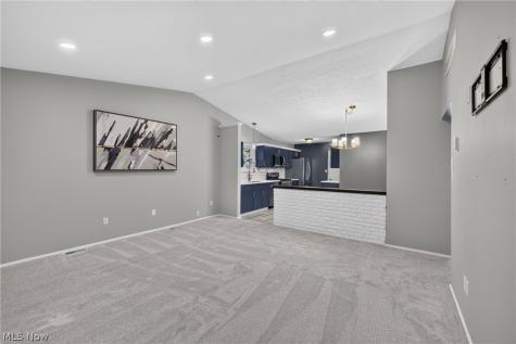 6347 Meldon Drive Mentor OH 44060