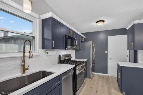 6347 Meldon Drive Mentor OH 44060