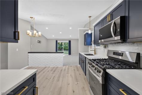 6347 Meldon Drive Mentor OH 44060