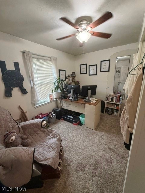 139 Dehoff Drive Austintown OH 44515