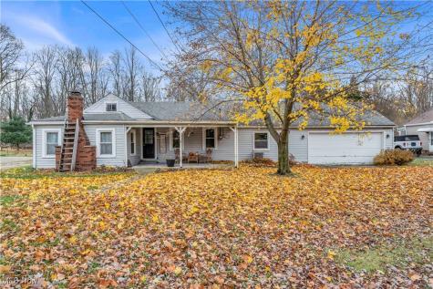 396 Park Road Painesville OH 44077