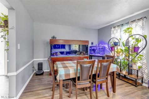 6642 Nancy Drive North Olmsted OH 44070