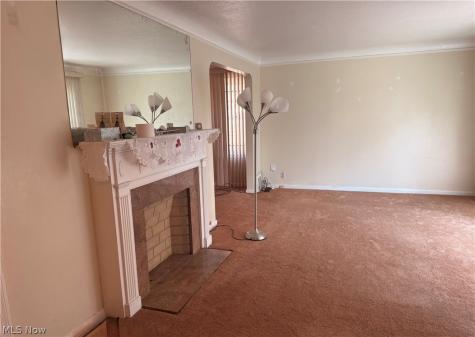 16803 Eldamere Cleveland OH 44128