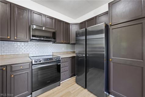558 Mountain Lion Drive Lagrange OH 44050