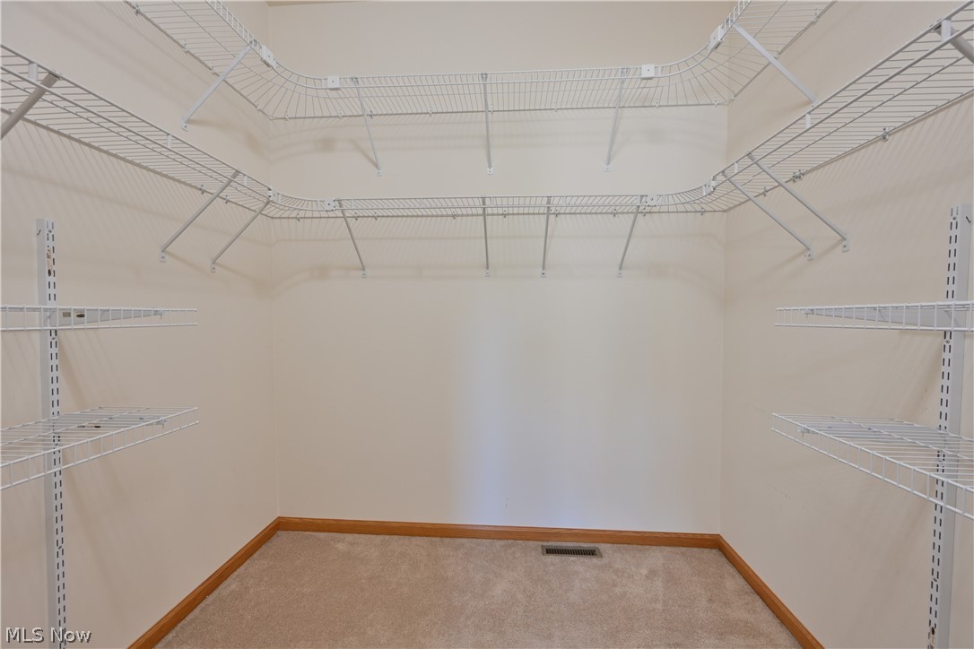 558 Mountain Lion Drive Lagrange OH 44050
