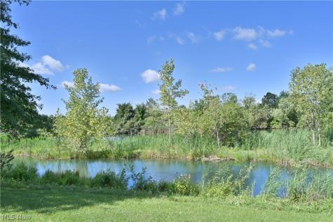 558 Mountain Lion Drive Lagrange OH 44050