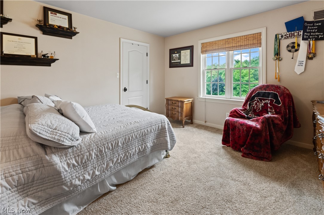 255 Cara Place Wintersville OH 43953