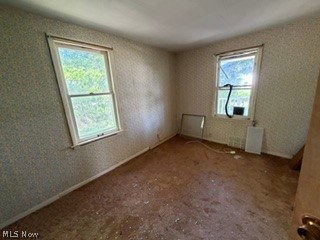 856 E 210th Street Euclid OH 44119