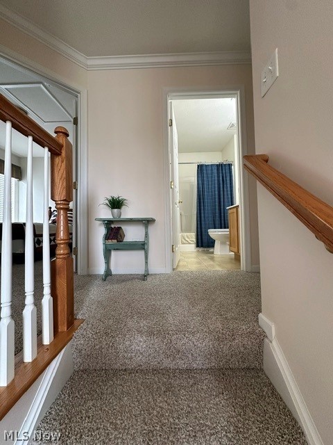 566 Colonial Drive Painesville OH 44077