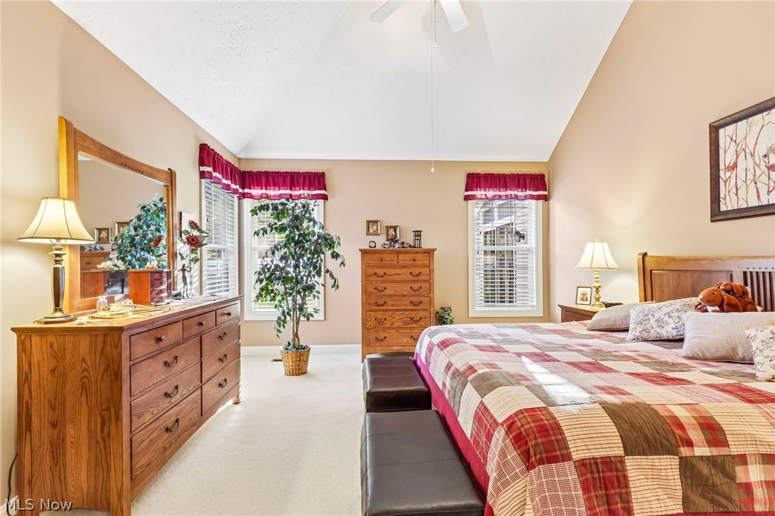 3742 Lovina Lane Stow OH 44224