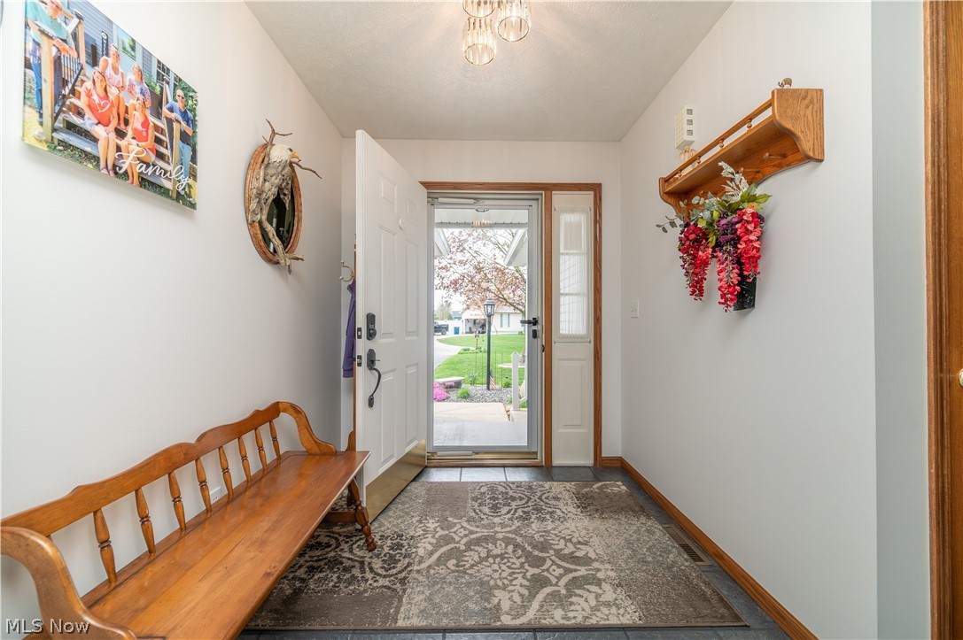 11 Spring Creek Drive Cortland OH 44410