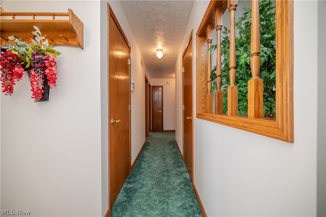 11 Spring Creek Drive Cortland OH 44410