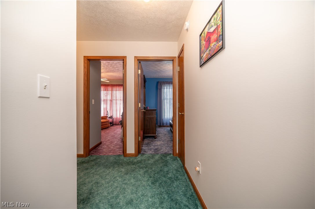 11 Spring Creek Drive Cortland OH 44410