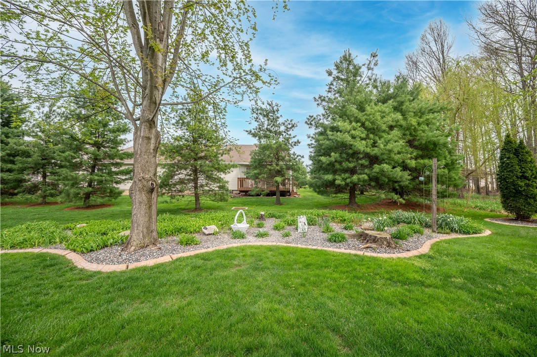 11 Spring Creek Drive Cortland OH 44410