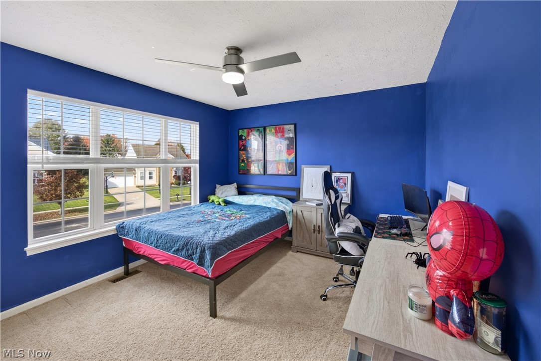 4116 Morley Drive Aurora OH 44202