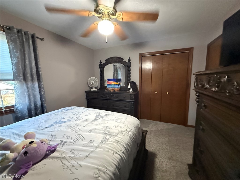 4190 Timberbrook Drive Canfield OH 44406