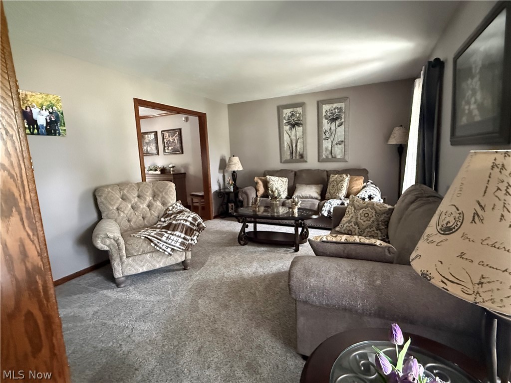 4190 Timberbrook Drive Canfield OH 44406