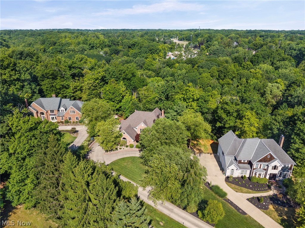 1226 Emerald Creek Drive Broadview Heights OH 44147