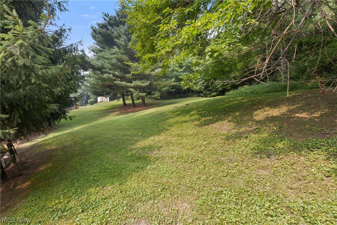 593 Salva Avenue Shadyside OH 43947