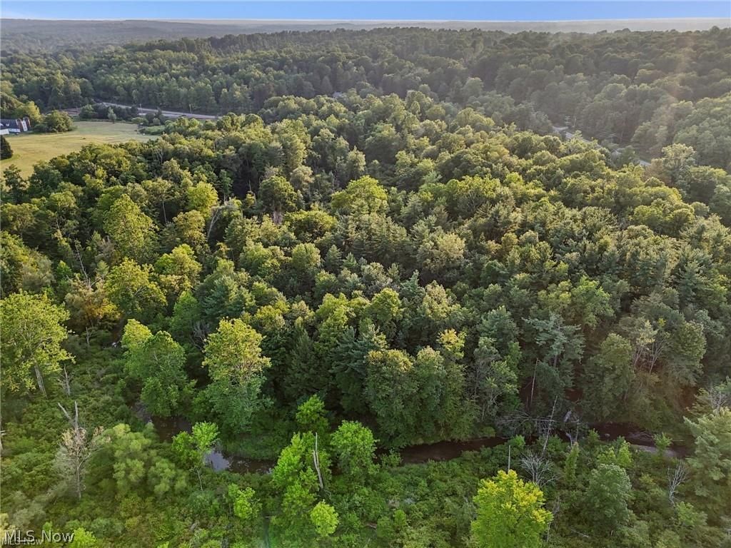 10571 Mayfield Road Chesterland OH 44026