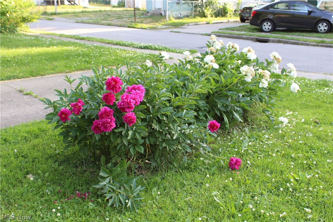 323 Fox Drive Ashtabula OH 44004