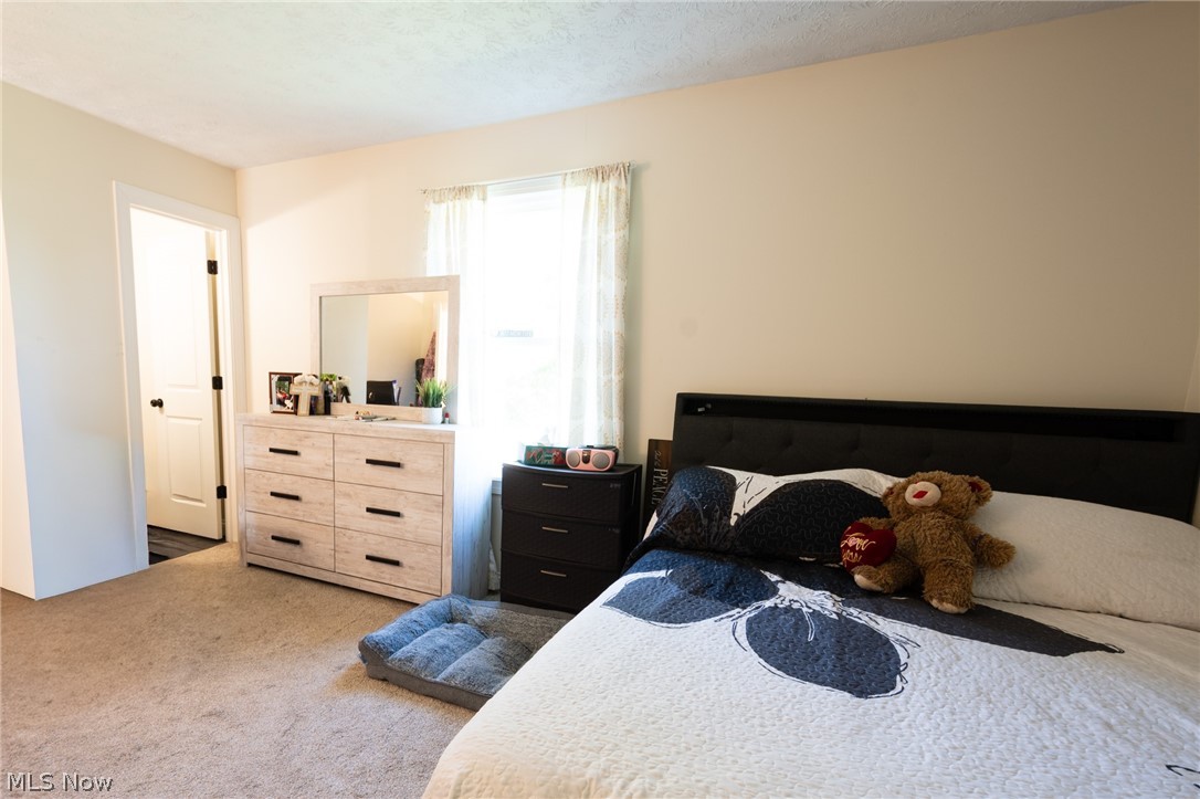 6175 Thompson Clark Road Bristolville OH 44402