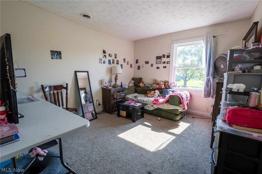 6175 Thompson Clark Road Bristolville OH 44402