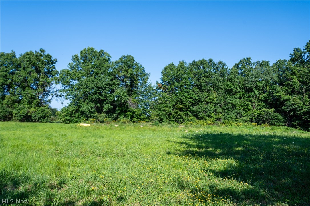 6175 Thompson Clark Road Bristolville OH 44402