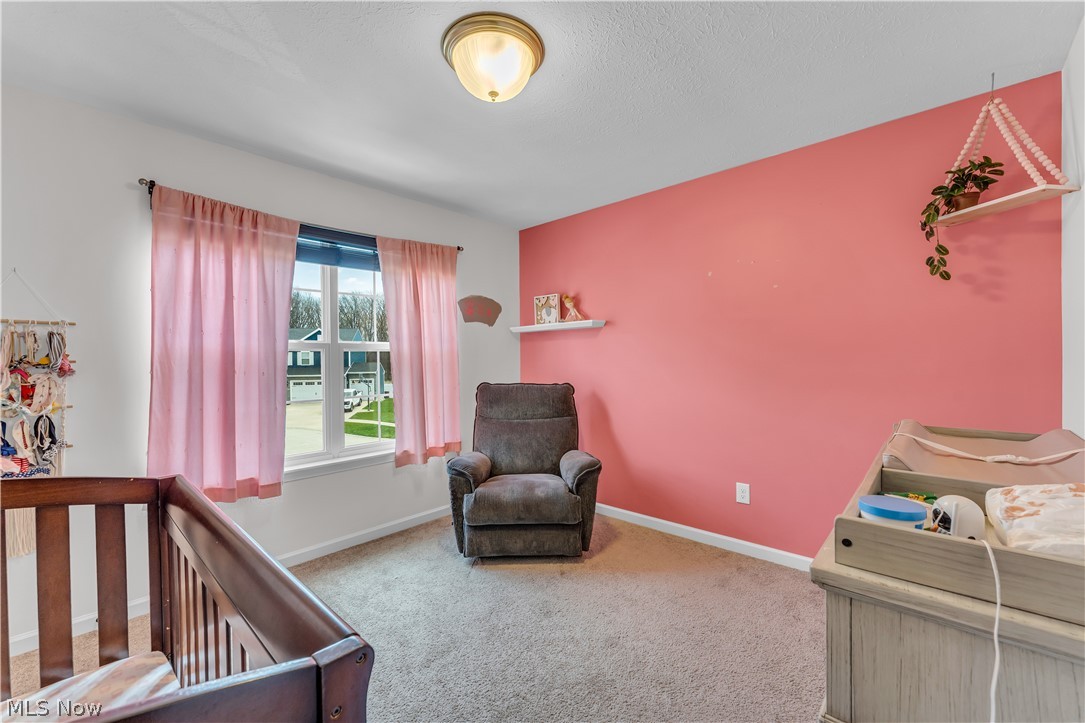 3981 Rossi Way Lorain OH 44053