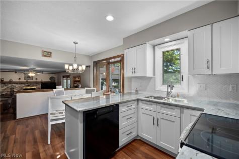 14317 Wilma Drive Strongsville OH 44136