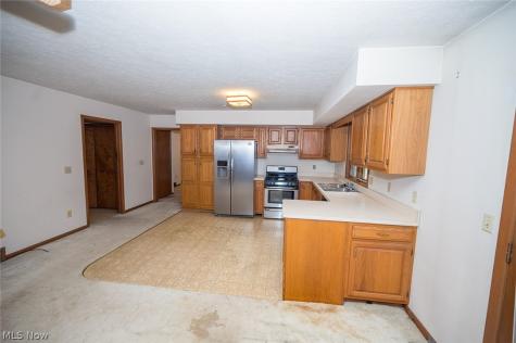 10110 Weathersfield Drive Mentor OH 44060