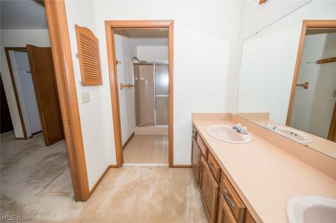 10110 Weathersfield Drive Mentor OH 44060