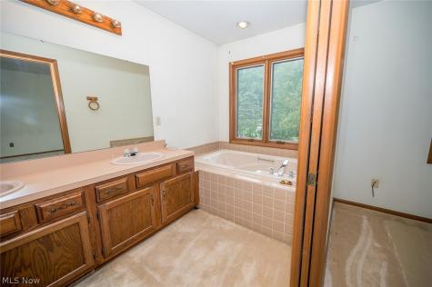 10110 Weathersfield Drive Mentor OH 44060