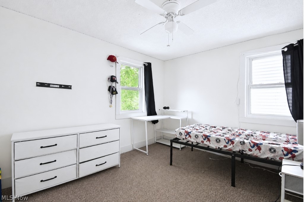 149 E Walnut Avenue Painesville OH 44077