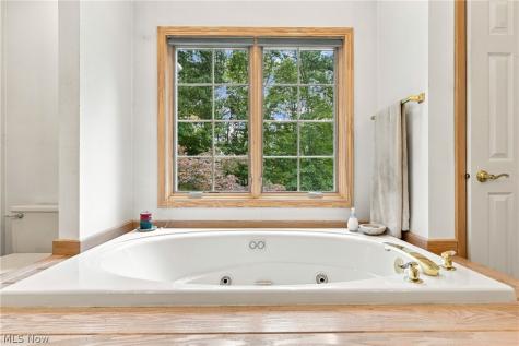 31643 Compass Cove Avon Lake OH 44012