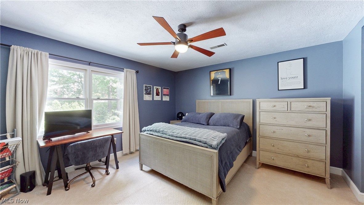 3773 Mapleleaf Hill Akron OH 44333