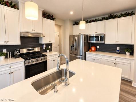 1047 Ashford Court Columbia Station OH 44028