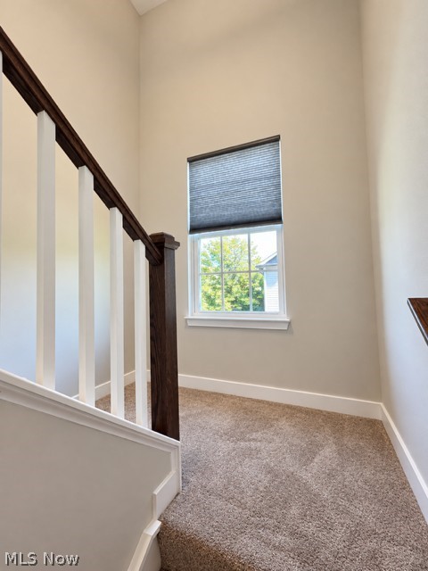 1047 Ashford Court Columbia Station OH 44028