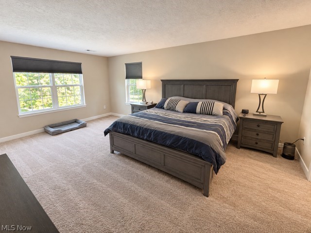 1047 Ashford Court Columbia Station OH 44028