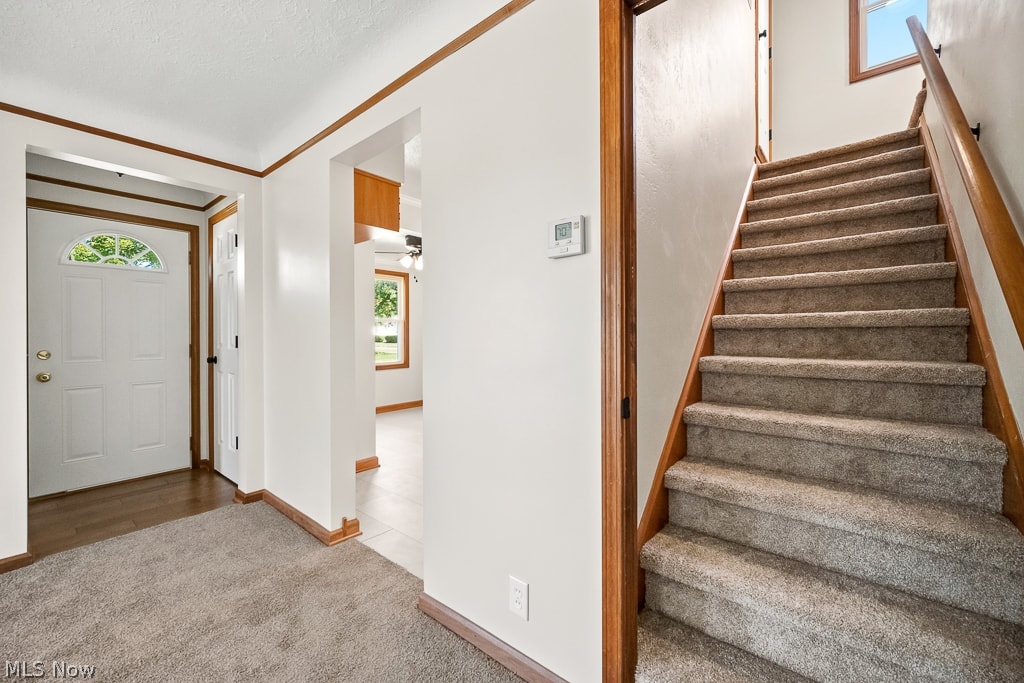 9328 Mccracken Road Garfield Heights OH 44125