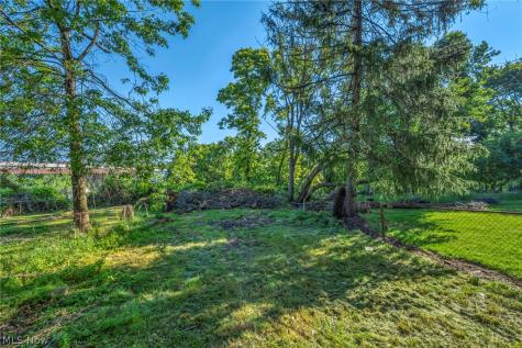 357 N Adams Street Akron OH 44304