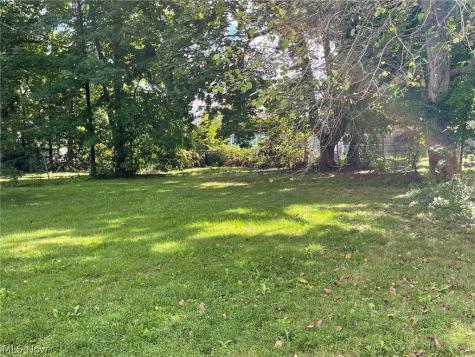 1731 Thornapple Avenue Akron OH 44301