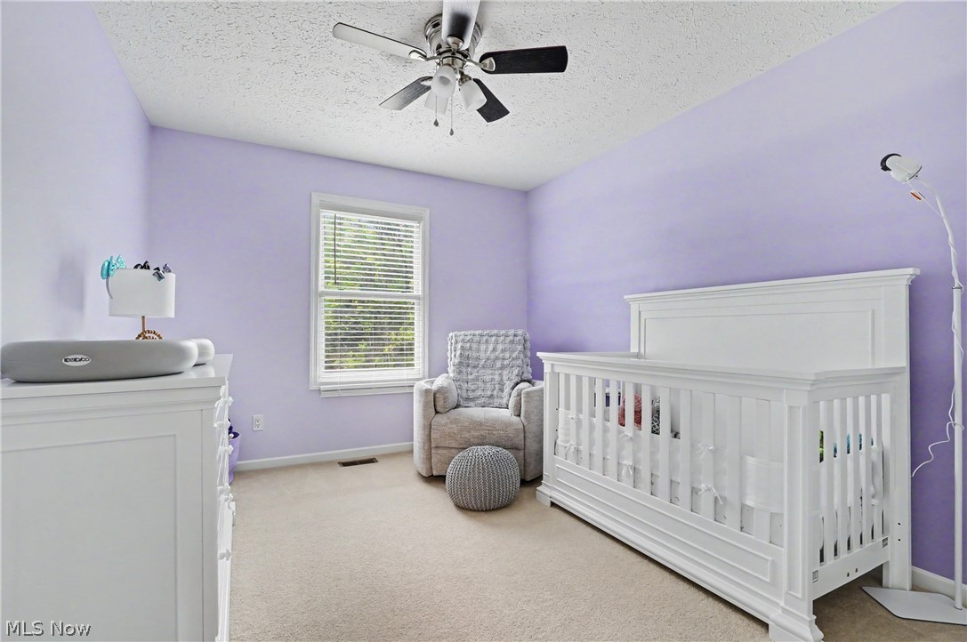 2541 Turf Paradise Drive Stow OH 44224
