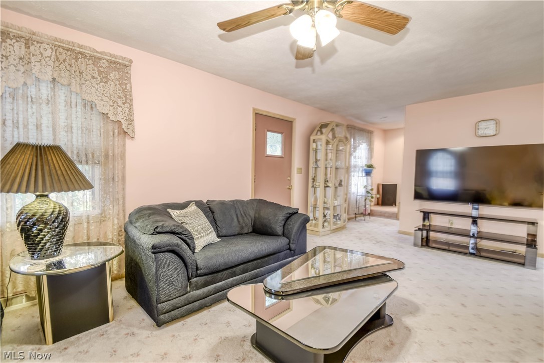4609 Webb Road Perry OH 44081