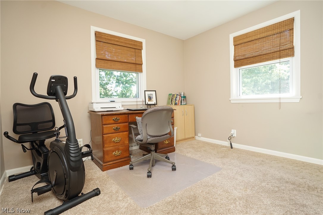 133 Hood Drive Canfield OH 44406