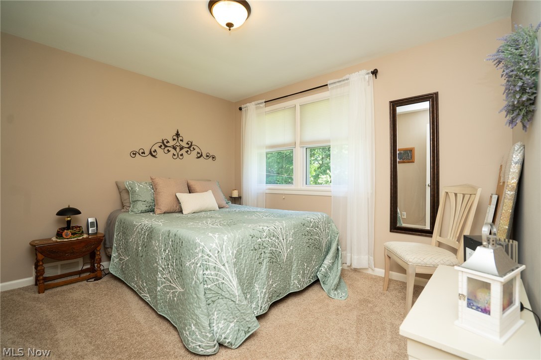 133 Hood Drive Canfield OH 44406