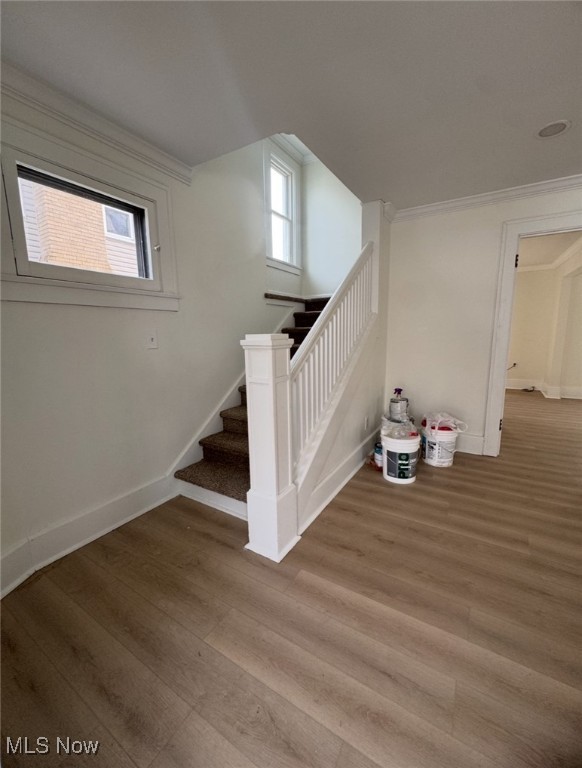 321 W Wood Street W Lowellville OH 44436