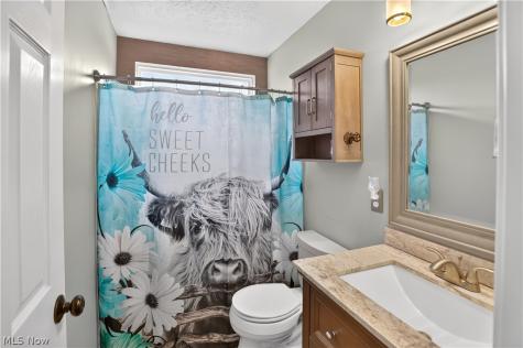 1183 Chapman Lane Medina OH 44256