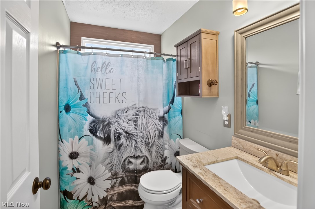1183 Chapman Lane Medina OH 44256